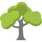 Asheville Tree Removal Service