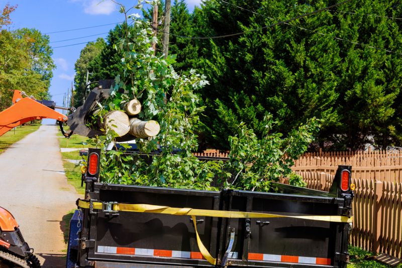 Tree Removal Service detail